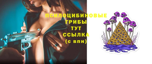 трава Абаза