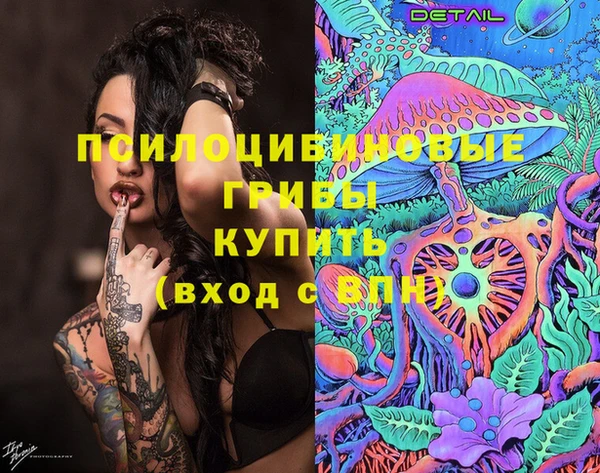 трава Абаза