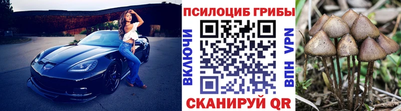 Галлюциногенные грибы Psilocybine cubensis  где купить наркоту  OMG   Усолье-Сибирское 